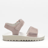 LELLI KELLY LK7534 ELENA ROSA