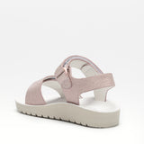 LELLI KELLY LK7534 ELENA ROSA