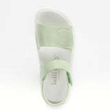 LELLI KELLY LKCA3502 VERDE SALVIA FS34