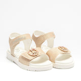 LELLI KELLY LKCV3570 GLITTER GOLD ROSE LG52